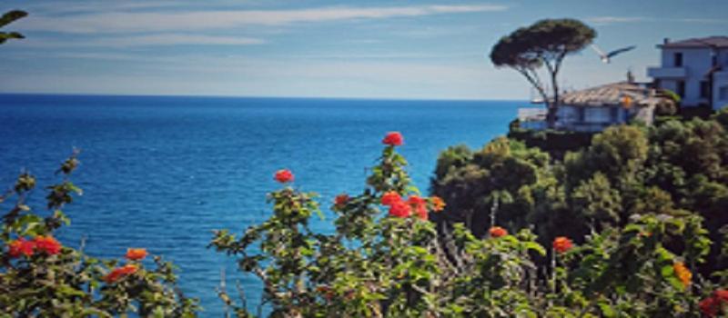 Punta San Martino Hotell Arenzano Eksteriør bilde